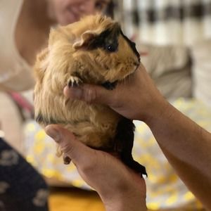 Meet your Posher, Mhe